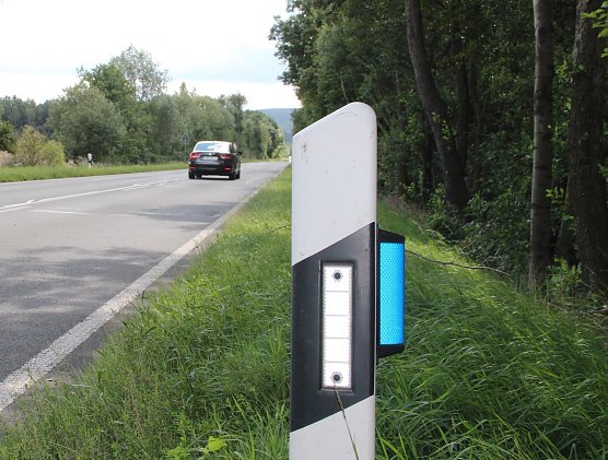 Zus&auml;tzliche blaue Reflektoren an den Leitpfosten sollen das Wild vergr&auml;men � in der Blattzeit ist ihre Wirkung eher gering (Foto: Horst Spro&szlig;mann)