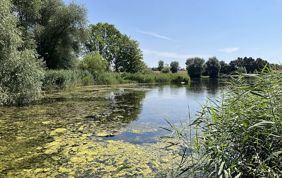 Opfermoor bei Niederdorla (Foto: oas)