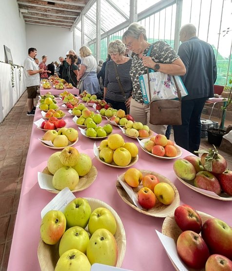Obstsortentag in der Orangerie (Foto: Karsten Stiehler) Obstsortentag in der Orangerie (Foto: Karsten Stiehler)