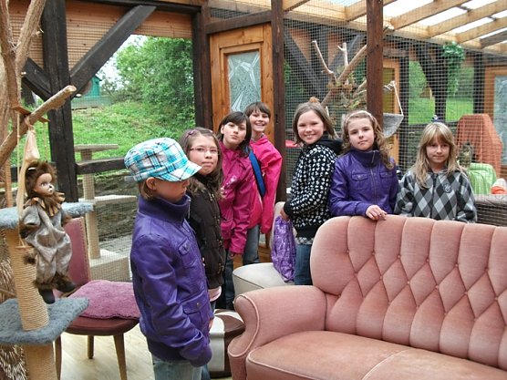 Besuch bei Hund und Katz' (Foto: Domizil Bad Frankenhausen) Besuch bei Hund und Katz' (Foto: Domizil Bad Frankenhausen)