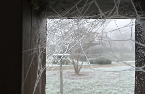 Nachts bleibt es frostig (Foto: oas)