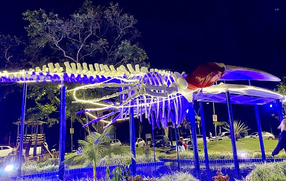 Walskelett eines gestrandeten Wals in Ubatuba (Brasilien) (Foto: Moritz B. Wiegand) Walskelett eines gestrandeten Wals in Ubatuba (Brasilien) (Foto: Moritz B. Wiegand)