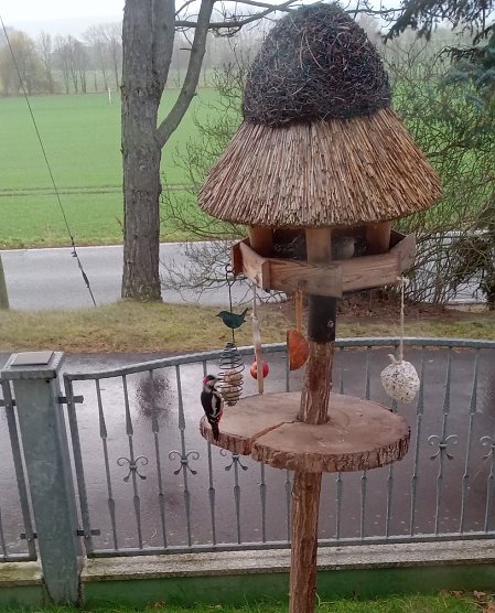 Momentaufnahme: Buntspecht in Nordhausen OT Leimbach. (Foto: Lutz Joachim König) Momentaufnahme: Buntspecht in Nordhausen OT Leimbach. (Foto: Lutz Joachim König)