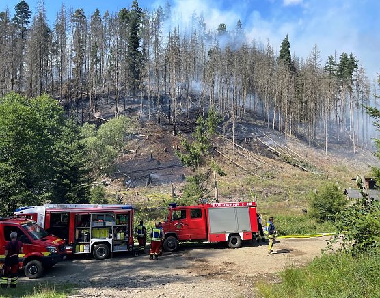 Waldbr&auml;nde stellen f&uuml;r die Feuerwehren oft eine gro&szlig;e Herausforderung dar: Steilhanglagen mit schlechter Begehbarkeit oder die schwierige L&ouml;schwasserbereitstellung, wie hier im Forstrevier Meura im Juli 2024, sind nur zwei davon (Foto: Niklas Singer)