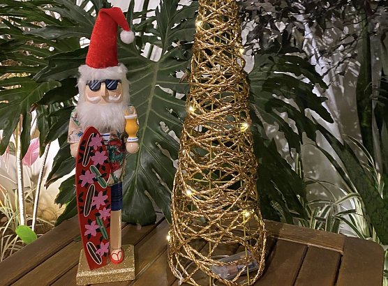 Nussknacker in Ubatuba Brasilien (Foto: M. B. Wiegand)