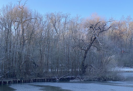 Fällt doch die eine oder andre Schneeflocke an Heiligabend? (Foto: uhz Archiv) Fällt doch die eine oder andre Schneeflocke an Heiligabend? (Foto: uhz Archiv)