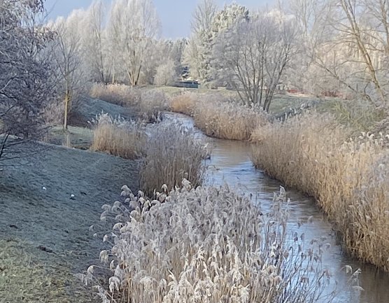Wipperdamm bei frostigen Temperaturen (Foto: Wolfgang Lehmann) Wipperdamm bei frostigen Temperaturen (Foto: Wolfgang Lehmann)