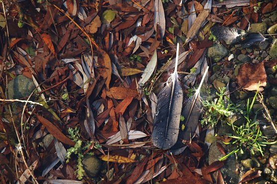 Wetterbild (Foto: agl) Wetterbild (Foto: agl)