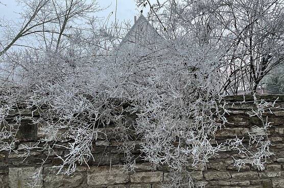 Winterliches Wetter bleibt vorerst bestimmend (Foto: oas) Winterliches Wetter bleibt vorerst bestimmend (Foto: oas)
