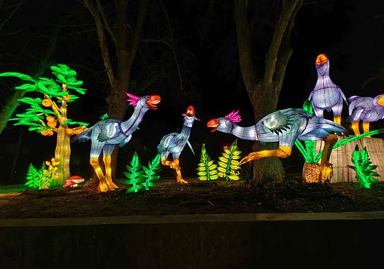 Magische Lichterwelten in Halle (Foto: Peter Blei)