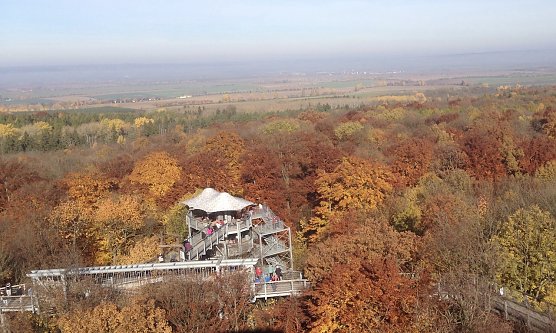 Beliebtes touristisches Ziel: Baumkronenpfad im Hainich (Foto: uhz Archiv) Beliebtes touristisches Ziel: Baumkronenpfad im Hainich (Foto: uhz Archiv)