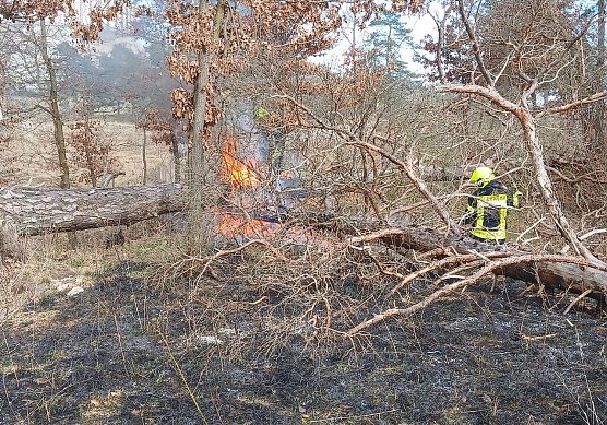 Waldbrand bei Bad Frankenhausen  (Foto: Feuerwehr Bad Frankenhausen)