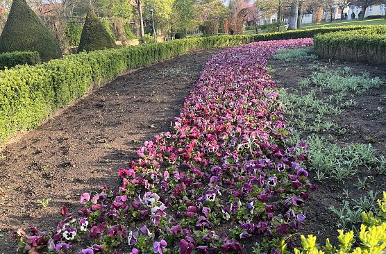 Fr&uuml;hlingshafte Temperaturen bei wechselhaftem Wetter (Foto: oas)