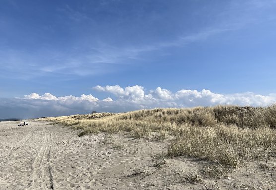 Ostseestrand (Foto: oas) Ostseestrand (Foto: oas)