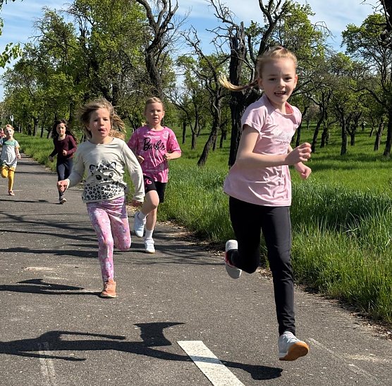 Schulcrosslauf  (Foto: Grundschule Hohenebra)