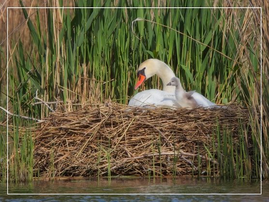 Hallo Welt (Foto: Norbert Schmidt)
