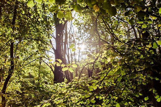 Hohe Schrecke (Foto: Digital Manufaktur GbR) Hohe Schrecke (Foto: Digital Manufaktur GbR)