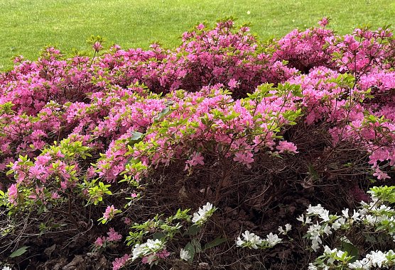 Gegen Abend kann wieder regen einsetzen (Foto: oas) Gegen Abend kann wieder regen einsetzen (Foto: oas)