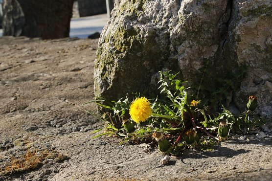 Wetterbild (Foto: agl)
