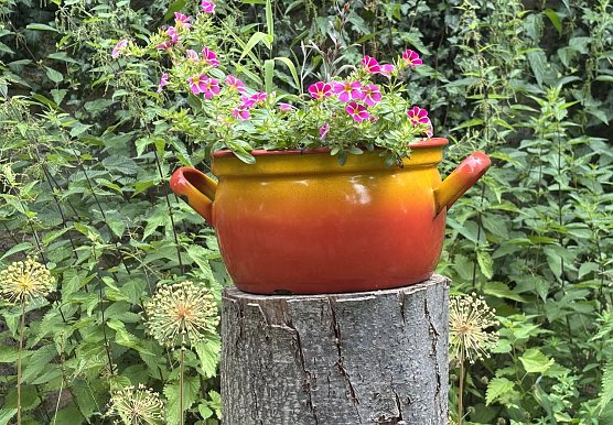 Weiter durchwachsenes Sommerwetter (Foto: oas) Weiter durchwachsenes Sommerwetter (Foto: oas)