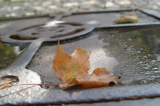 Wetterbild (Foto: agl) Wetterbild (Foto: agl)