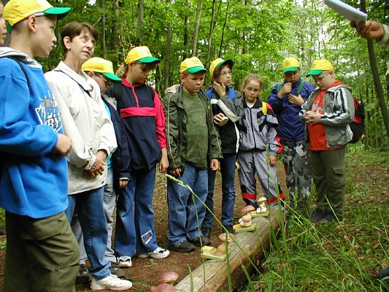 Waldjugendspiele (Foto: Forstamt Oldisleben)