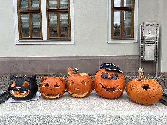 So kreativ waren die Teilnehmer im vergangenen Jahr beim Sondersh&auml;user K&uuml;rbisschnitzwettbewerb (Foto: Janine Skara)