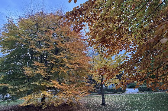 Es bleibt regnerisch (Foto: oas) Es bleibt regnerisch (Foto: oas)