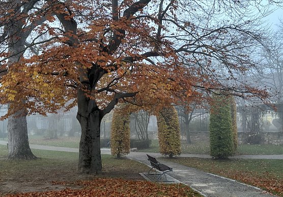 Frost und Glätte in den Morgenstunden (Foto: oas) Frost und Glätte in den Morgenstunden (Foto: oas)