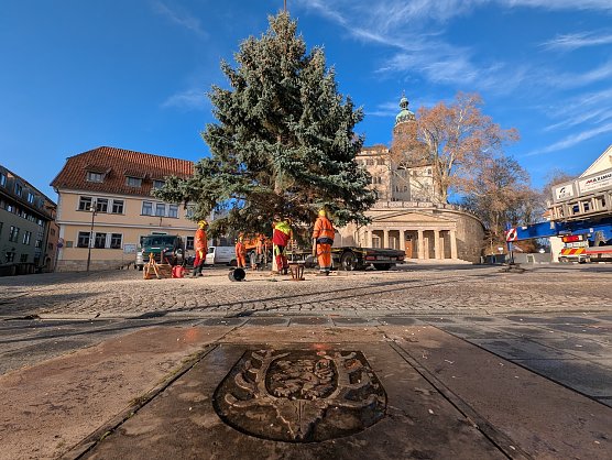 &Uuml;ber Stunden wurde der Baum auf dem Marktplatz zurechtgeschnitten (Foto: Janine Skara)