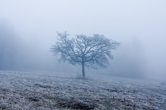 Wetterbild (Foto: pixabay.com)