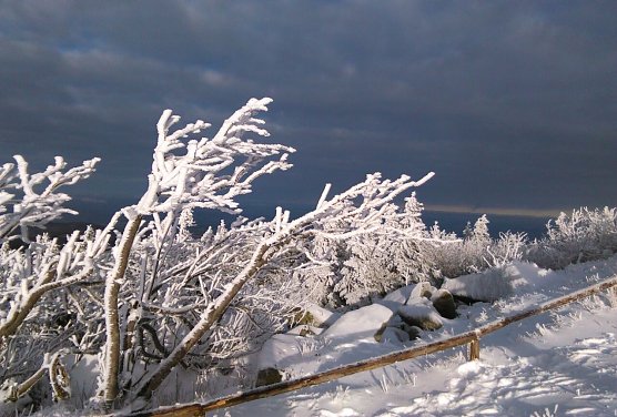 Wenig Hoffnung auf weiße Weihnacht verheißt der Wetterbericht (Foto: oas) Wenig Hoffnung auf weiße Weihnacht verheißt der Wetterbericht (Foto: oas)