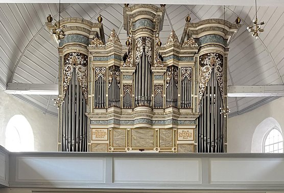 Die Orgel der Marienkirche in Artern (Foto: Stiftung KiBa)