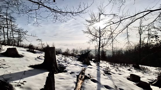 Frostiger Sonnentag am Roten Schuss bei Ellrich (Foto: agl)