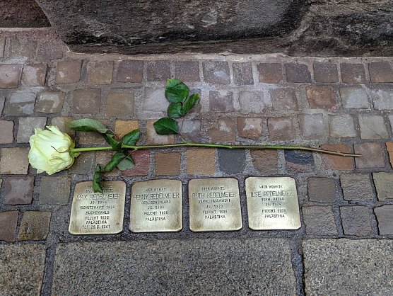 Stolpersteine in Sondershausen (Foto: Janine Skara)