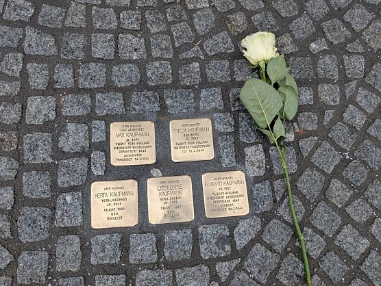 Die Stolpersteine sind nun wieder gut auf den Gehwegen sichtbar. (Foto: Janine Skara) Die Stolpersteine sind nun wieder gut auf den Gehwegen sichtbar. (Foto: Janine Skara)