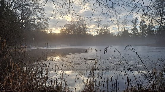 Wetterbild (Foto: agl)
