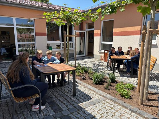 Die neue Bepflanzung im Innenhof der Schule.  (Foto: Steffi Burchert)