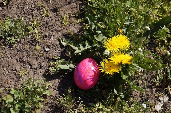 Ein Osterei auf der Ebersbrug; Archivbild (Foto: Cornelia Wilhelm)
