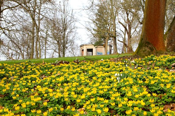 Wetterbild (Foto: agl)