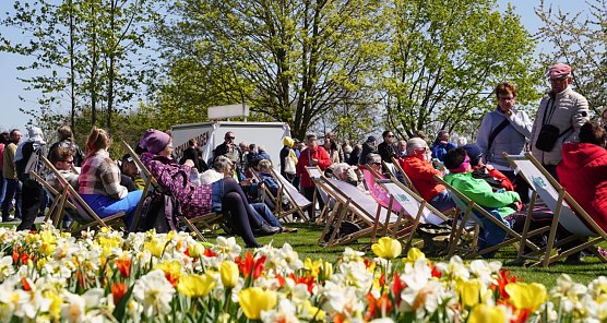 Momentan bl&uuml;hen noch die Fr&uuml;hbl&uuml;her auf der Landesgartenschau in Leinefelde. (Foto: ssc)