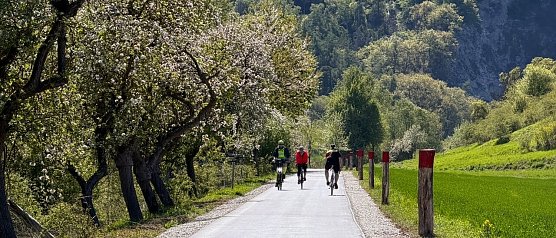 Der Kyffh&auml;userlandweg bei Steinthalleben verl&auml;uft neben der Stra&szlig;e. (Foto: Julia Hornickel )