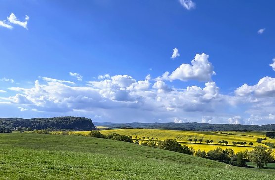 Symbolbild Frühling (Foto: ssc) Symbolbild Frühling (Foto: ssc)