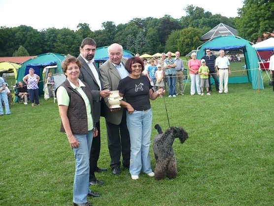 Hunde auf Possen (Foto: Hans-J&uuml;rgen Schmidt)