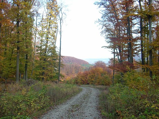Frauenberg-Rundeweg Sondershausen (Foto: Karl-Heinz Herrmann) Frauenberg-Rundeweg Sondershausen (Foto: Karl-Heinz Herrmann)