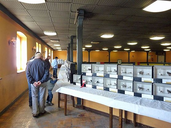 Vogelausstellung in Sondershausen (Foto: Karl-Heinz Herrmann) Vogelausstellung in Sondershausen (Foto: Karl-Heinz Herrmann)