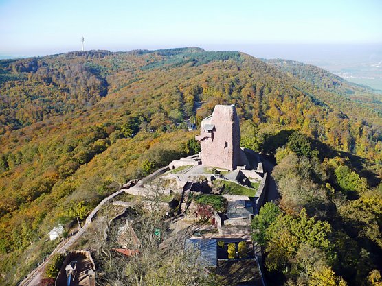 Farbiger Kyffh&auml;user (Foto: Hans-J&uuml;rgen Schmidt)