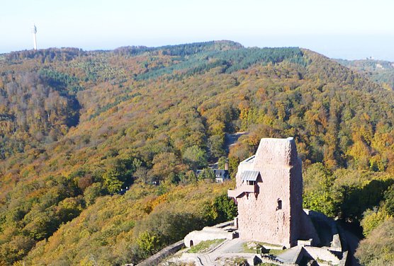 Farbiger Kyffh&auml;user (Foto: Hans-J&uuml;rgen Schmidt)