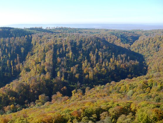 Farbiger Kyffh&auml;user (Foto: Karl-Heinz Herrmann)