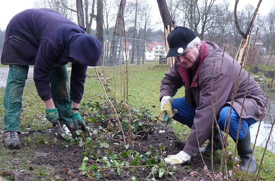 Selle im Landschaftsbau (Foto: Karl-Heinz Herrmann)